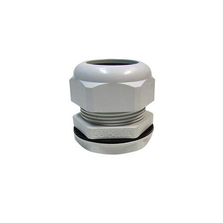 Prensa cabo cinza 59 mm x 2" BSP 54015