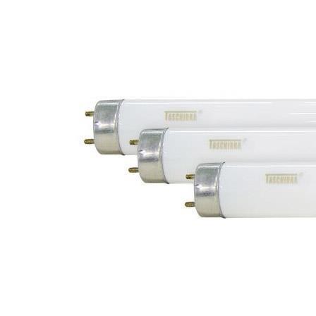 Lâmpada fluorescente 034 cm 8W T-05