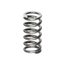 Mola de compressão 06 x 100 mm