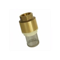 Válvula de retenção para poço 1.1/4" 19407