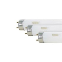 Lâmpada fluorescente 240 cm 110W HO