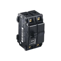 Disjuntor Nema 2P 060A