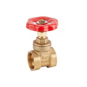 Válvula gaveta bruto 2" 322009