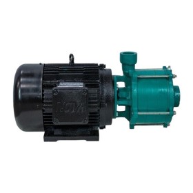 Bomba Agua Multi Estagio 5.0cv Mono Eletroplas ECM2 5.0/3 AL