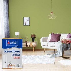 Escova de carvão para aspirador Electrolux 101