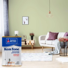 Escova de carvão para lavadoras Karcher 145