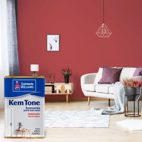 Escova de carvão para aspirador Wap 320