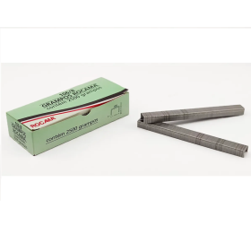 Lâmpada 24V geral 2 polos 1034